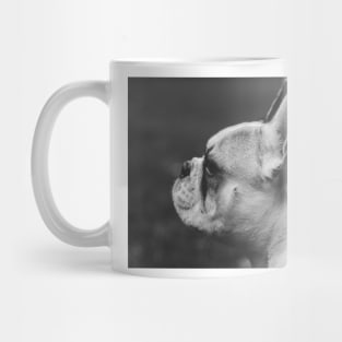 Wistful monochrome Frenchie Mug